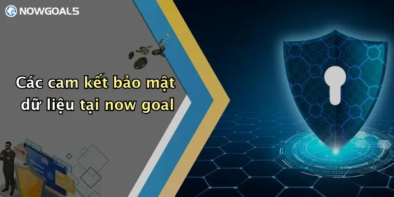 Các cam kết bảo mật dữ liệu tại now goal
