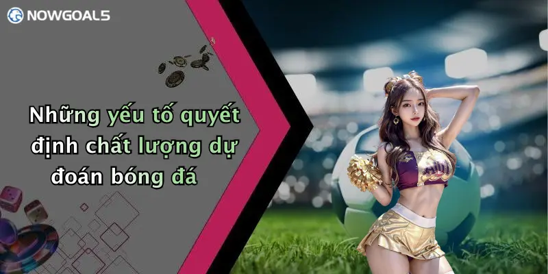 Những yếu tố quyết định chất lượng dự đoán bóng đá