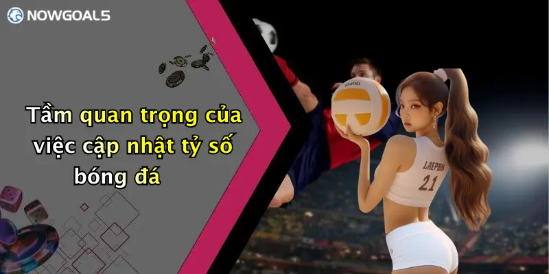 Tầm quan trọng của việc cập nhật tỷ số bóng đá