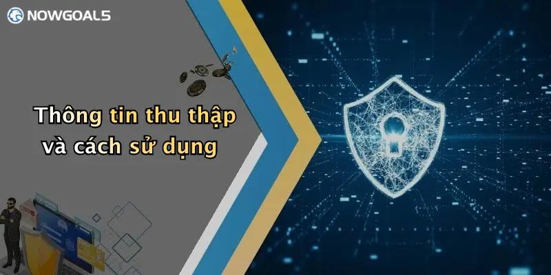 Thông tin thu thập và cách sử dụng