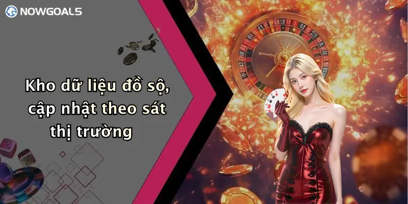 Kho dữ liệu đồ sộ, cập nhật theo sát thị trường