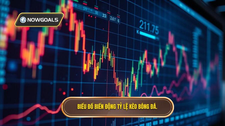 Phân tích đa chiều: Tại sao tỷ lệ kèo tối nay lại biến động?