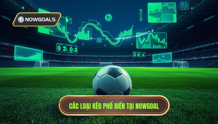 Các loại kèo phổ biến trong nhận định kèo từ Nowgoal