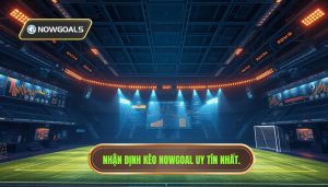 Nhận định kèo từ Nowgoal